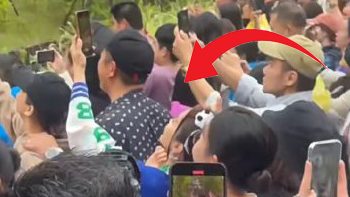 蔡依林挤在人群中狂拍熊猫  粉丝笑亏：懂我们看演唱会的感受了吧