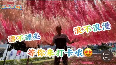 视频 | “秋の富士”嘉年华 感受日本古代文化和现代风情