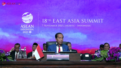 The ASEAN Summit and ASEAN’s future