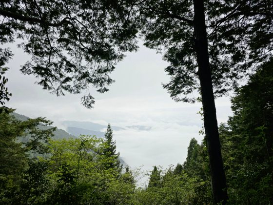 【台湾】宜兰太平山，人间仙境