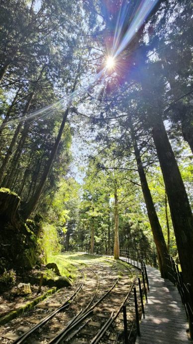 【台湾】宜兰太平山，人间仙境