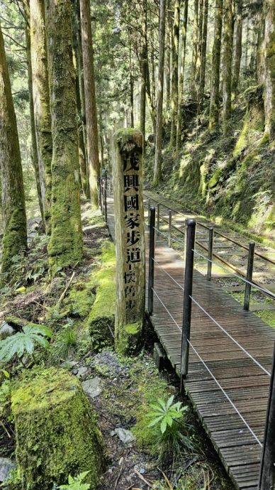 【台湾】宜兰太平山，人间仙境