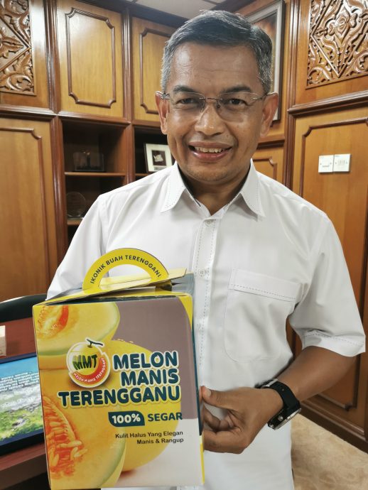 东：登州政府正极力将登嘉楼甜瓜（Melon Manis Terengganu， MMT）名称注册为登州商标，以便更有效地保护其利益。