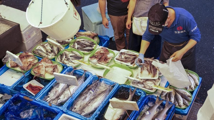 俄罗斯：考虑限制日本鱼类产品进口