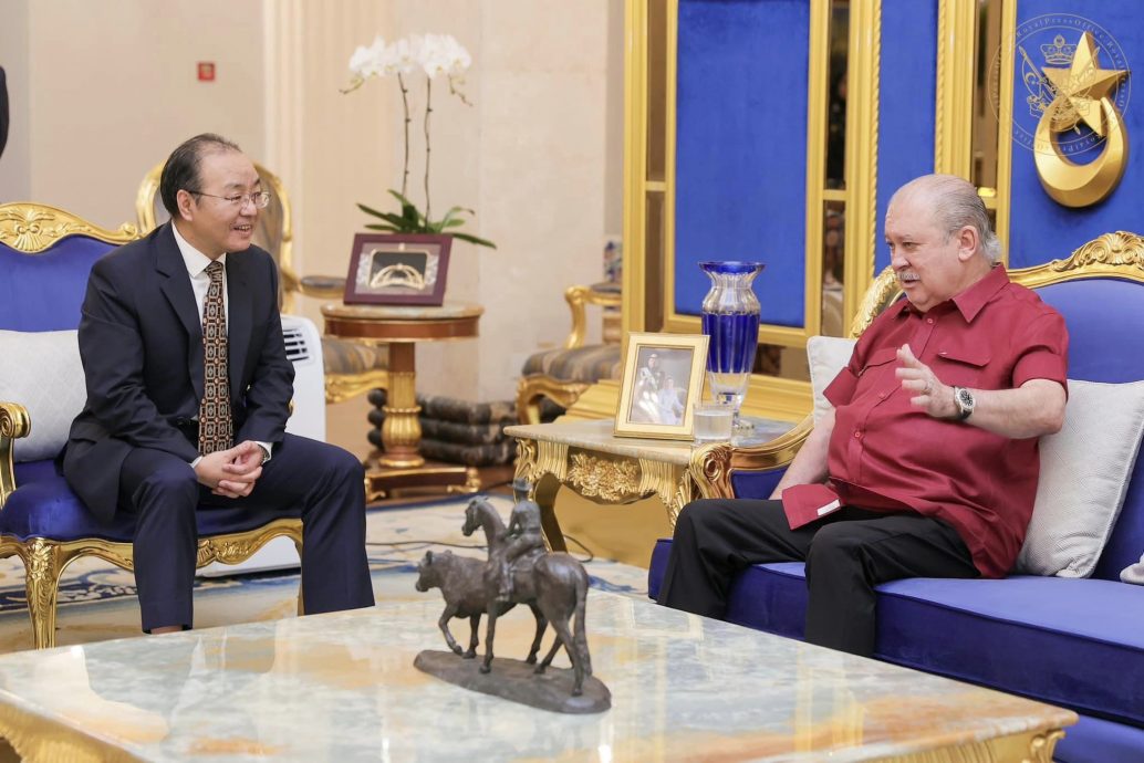 全国：新闻：柔苏丹接见中国驻马大使，双方会谈1小时