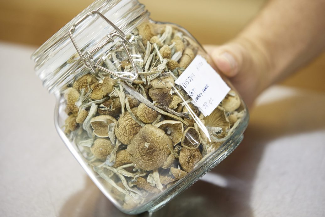 全美第一家 俄勒冈开设神奇蘑菇治疗所不需处方笺