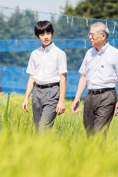 日本悠仁亲王满17岁   宫内厅：悠仁喜欢研究农业