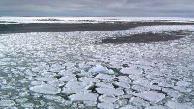 比1986年冬季少100万平方公里  南极洲海冰面积写下历史新低