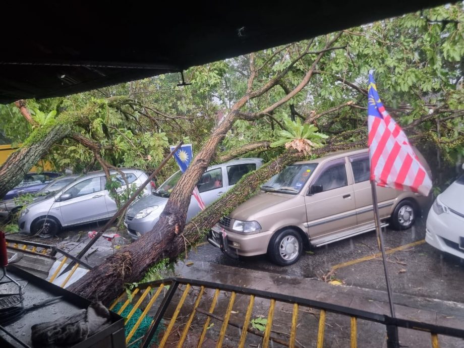 狂风暴雨 公寓屋顶被掀走 多处树倒压毁车