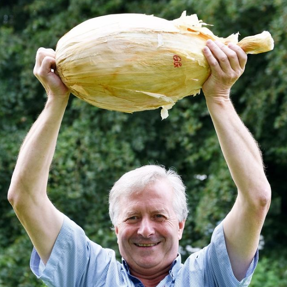 英国农夫种出近9公斤洋葱或写下世界纪录！