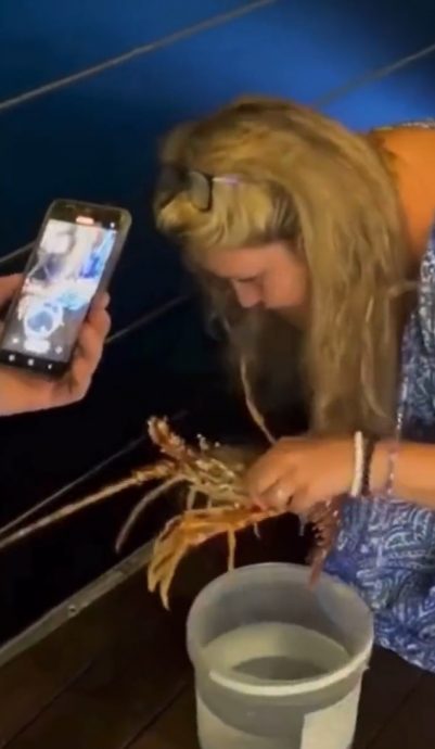 视频|夫妻高级餐厅吃海鲜 千元龙虾放生震惊旁人