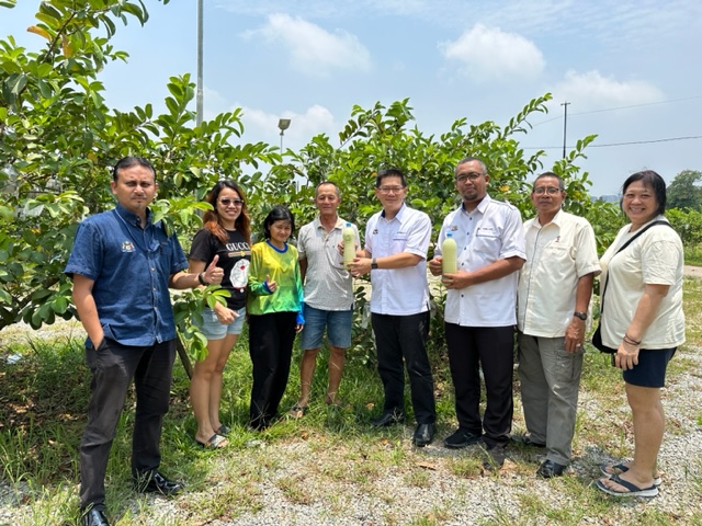 （古城第四版主文）林万锋协助番石榴果农向农业部申请农产品补助金