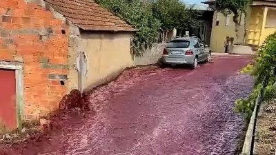 视频 | 220万公升红酒倾泻成河  葡萄牙小镇街道被抹红