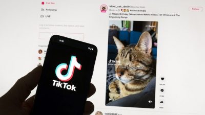 TikTok在爱尔兰开设数据中心 平息欧洲担忧