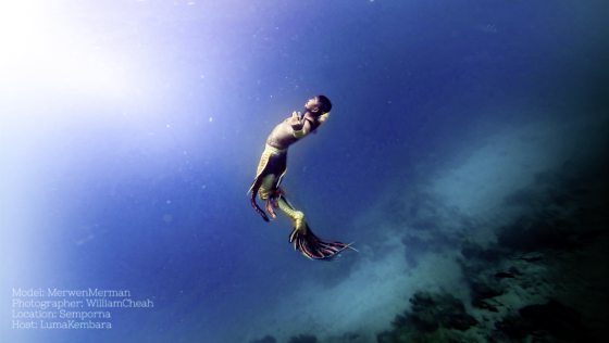 【人鱼外传／02】美男鱼勇敢追梦，化身金孔雀，在水中翩翩起舞