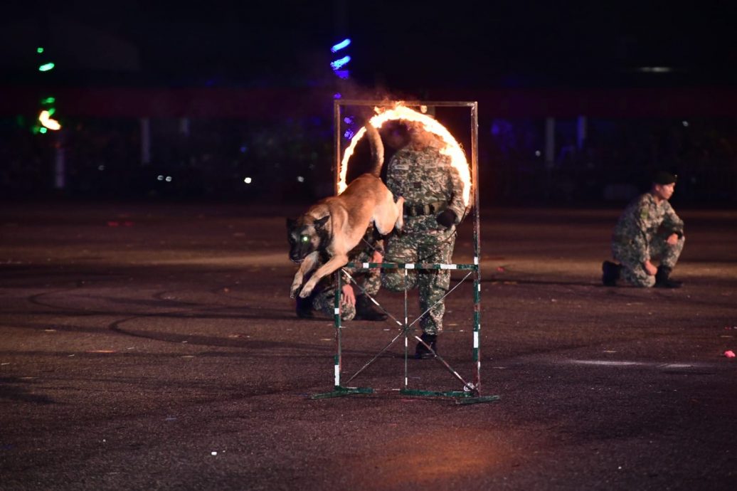 东;大马皇家陆军军操表演(TATU)将在10月6日（星期五）晚上8时在瓜登苏丹依斯迈纳斯鲁丁体育场举行，入场免费。