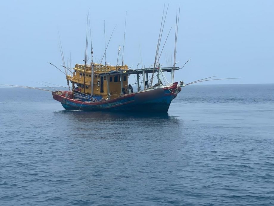 东：本地渔船非法聘用越南船员