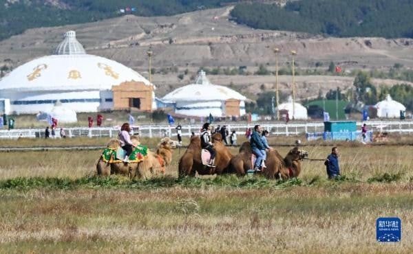 中国各地假期前5天旅游成绩单 内蒙古收入65亿 