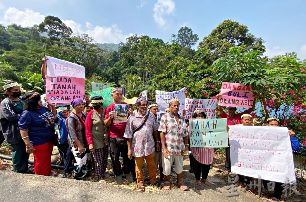 供星洲网/6甘榜原住民不满州政府批准伐木影响水质，数十名村民拉大字报抗议