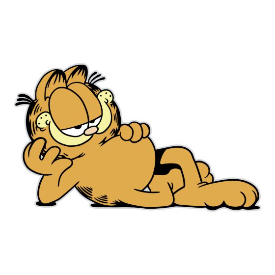 全球最家喻户晓的猫咪——加菲猫（Garfield）
