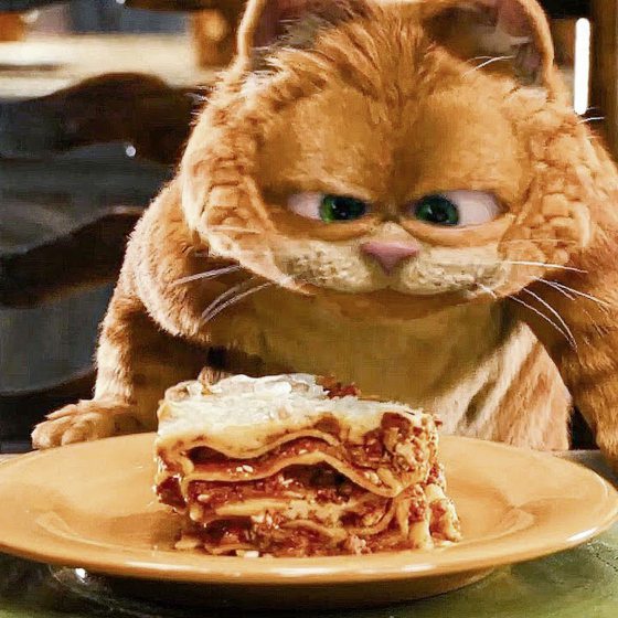 全球最家喻户晓的猫咪——加菲猫（Garfield）