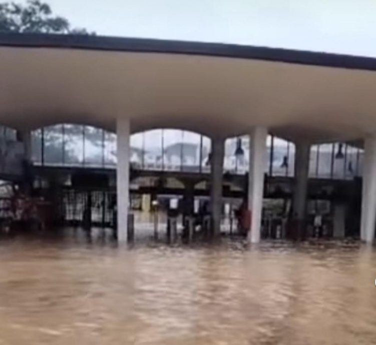 国家动物园淹水