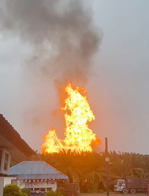 **已签发**柔：帆布起大火，居民以为棕油厂失火了！