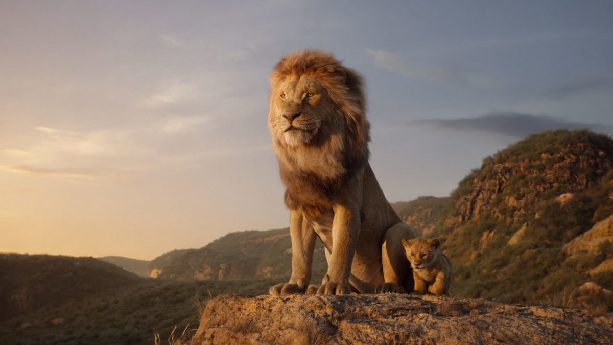 研究：比起狮子非洲野生动物更害怕人类