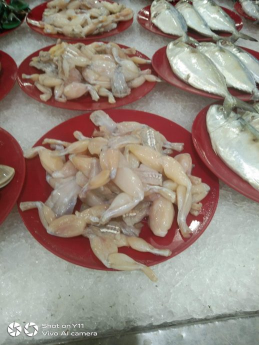 视频|田鸡肉与海鲜齐放不  雪贸消部上门调查 