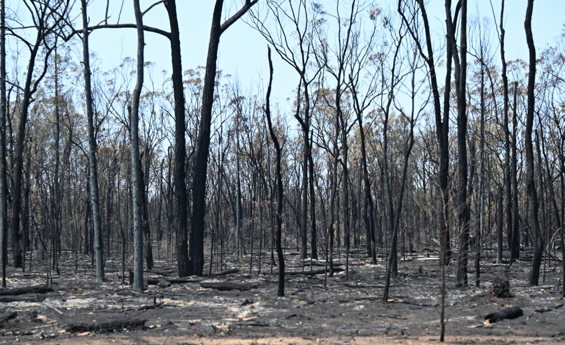 野火肆虐毁30屋 澳洲昆士兰当局示警乡镇：火烧来了快逃