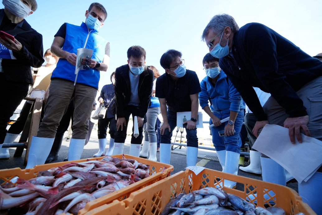 验证日本核污水排放 联合国专家采集鱼市场样本