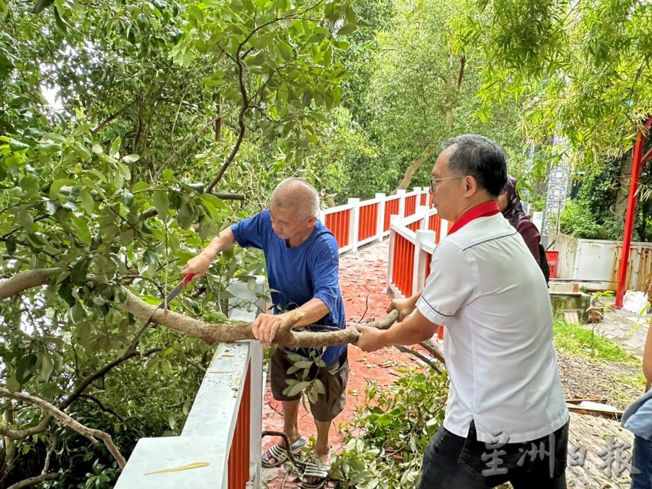 （古城第三版主文）沿河走道树枝断裂阻碍通道 刘志俍协助锯树促当局修剪