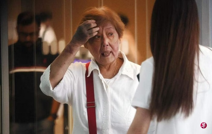 （已签发）柔：狮城二三事：涉酒驾及两次闯红灯   狮城72岁老妇被控上庭
