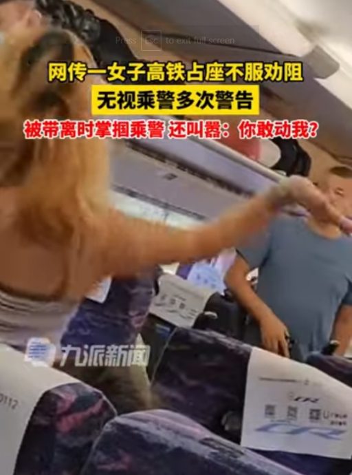 （视频）女子高铁占座不听劝还掌掴乘警  众人怒了