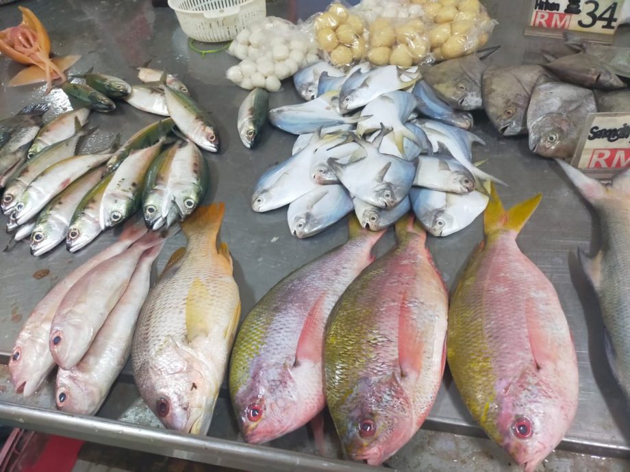东：渔产价格平稳