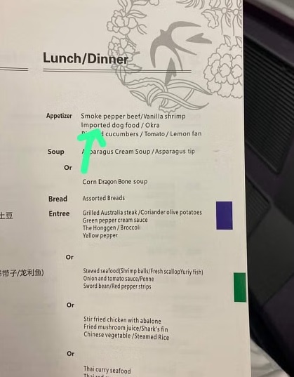 中国航空商务舱菜单 乘客见“进口狗粮”感震惊