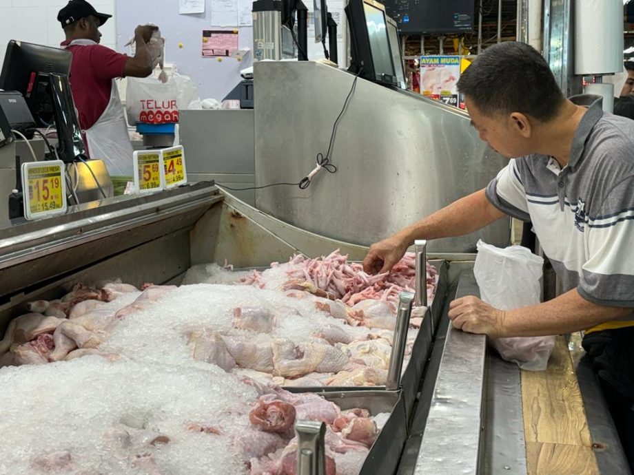 柔：新闻：贸消局：供应充足 价格平稳  肉鸡每公斤不超过RM10 