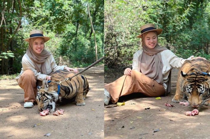 视频 | 旅泰动物园与虎拥抱散步！女子：虽怕但一生仅一次机会