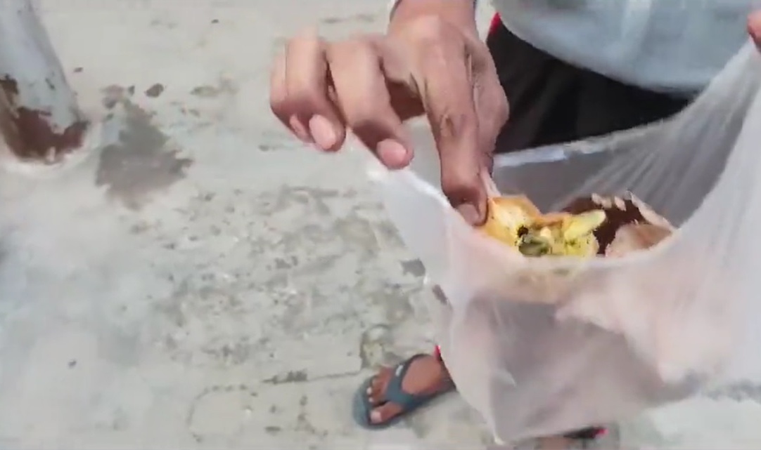  视频|“以为咖喱饺有嚼劲”  父女吃了才见死壁虎