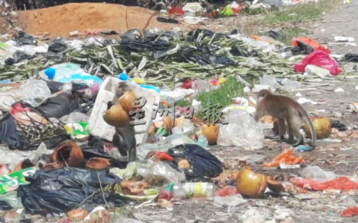 （已签发）柔：巴冬地区垃圾无去处，居民盼当局设置适合的垃圾集中点