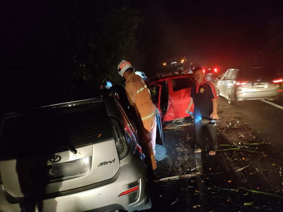 NS马口：加拉东大道路边油棕园倒下压中路面，导致交通意外，一人轻伤