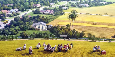 Kedah Paddy Museum to reopen this month after renovation