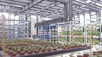 20层高楼种菜 中国自主研发 首座无人化垂直植物工厂