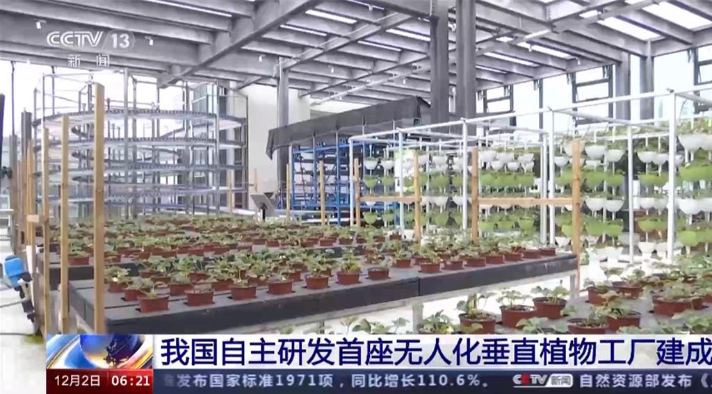 20层高楼种菜 中国自主研发首座无人化垂直植物工厂