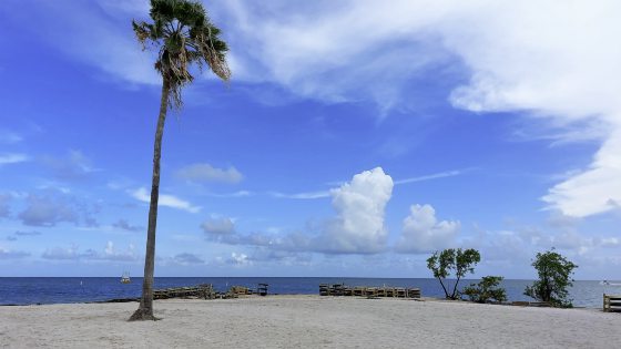 【美国】游走美国最南端的城市Key West