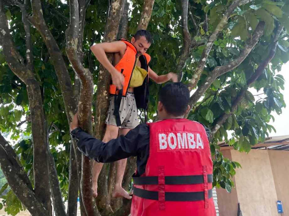 东：3名印尼外劳受困水灾灾区，为保命爬树等待救援。