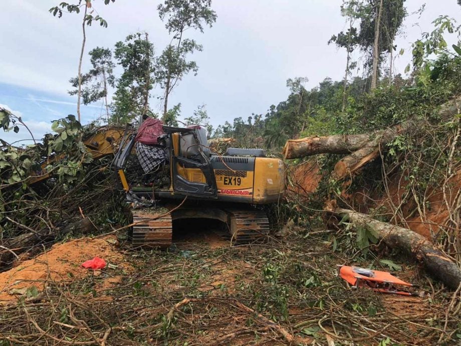 东：丹州话望生一名印尼籍工人在挖土机里休息时却被突然倒下的一棵大树压死。