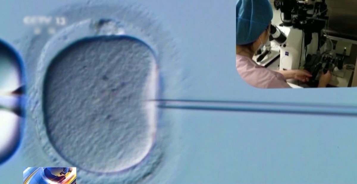 拚盘)胚胎是“人”抑或“物”？中首宗“准胎儿”获赔抚养费案判决