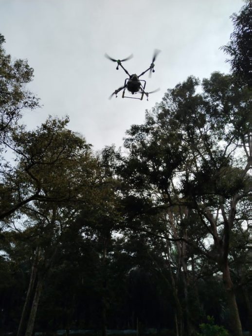 柔：今日面谱（12月28日见报）：无线电爱好者方世维以无人机喷洒农药