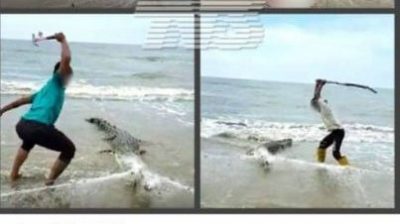 砂森林企业：2019年发生在美里海滩  “鳄鱼卡渔网”是旧闻